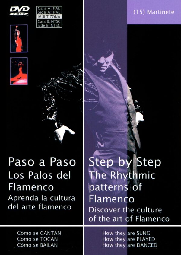 Vol 15 - Martinete - Paso a Paso los palos del Flamenco - Adrián Galia