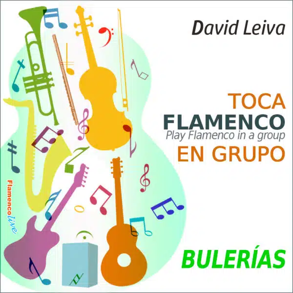 Toca flamenco en grupo - Bulerías - David Leiva