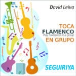 Toca flamenco en grupo - Siguiriya - David Leiva