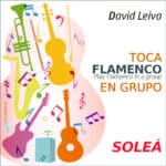 Toca flamenco en grupo - Soleá - David Leiva