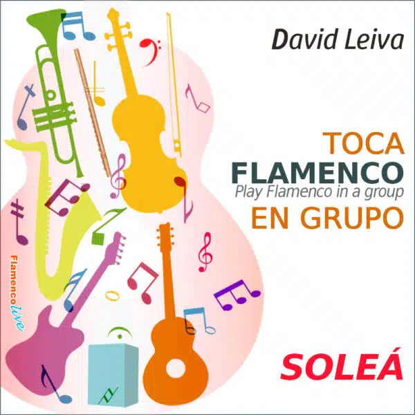 Toca flamenco en grupo - Soleá - David Leiva