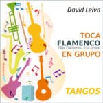 Toca flamenco en grupo - Tangos - David Leiva