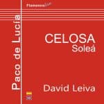 Tocando a Paco de Lucía - CELOSA (Soleá) - David Leiva