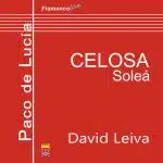 Tocando a Paco de Lucía - CELOSA (Soleá) - David Leiva