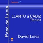 Tocando a Paco de Lucía - LLANTO A CÁDIZ (Tientos) - David Leiva